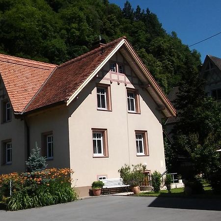 Апартаменты Haus Rosegger Фельдкирьх Экстерьер фото